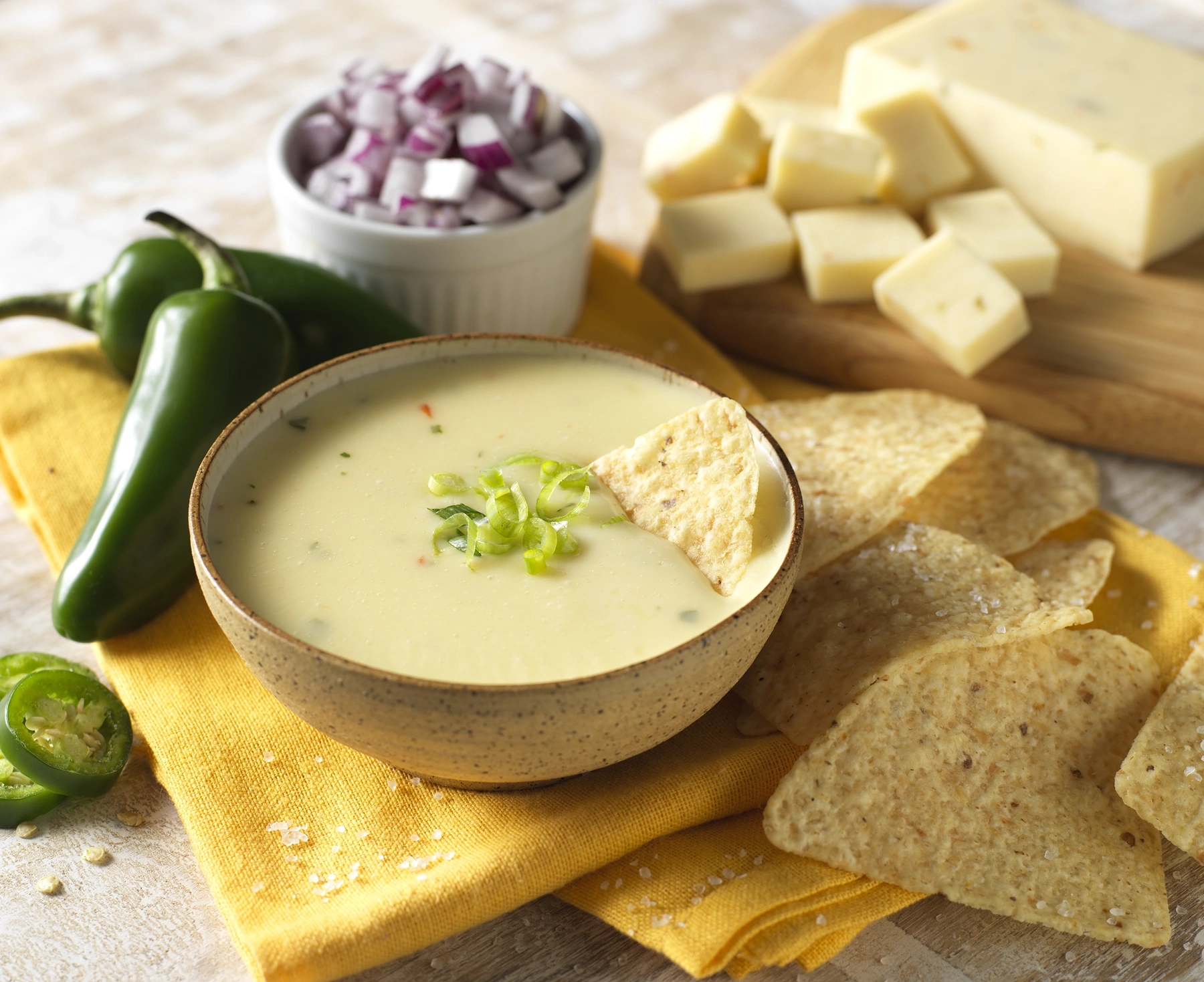 Link Image for : Cheese Dips and Cheese Sauces